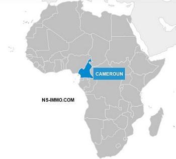 Le Cameroun en resumé