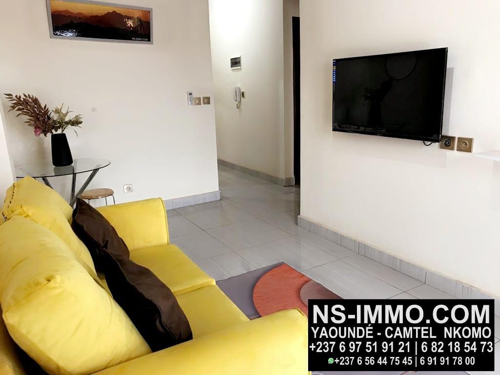 Ns immo yaounde camtel nkomo appartement meuble haut standing studio le caire2